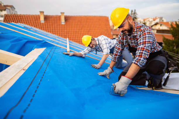 Best Roof Leak Repair  in Sistersville, WV