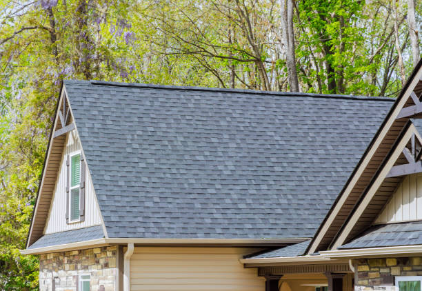 Best Gutter Installation and Repair  in Sistersville, WV