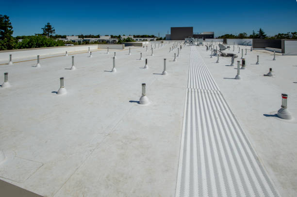 Best Sheet Metal Roofing  in Sistersville, WV